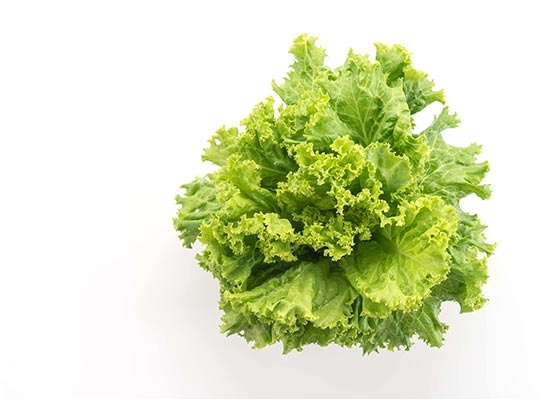 Insalata Gentile